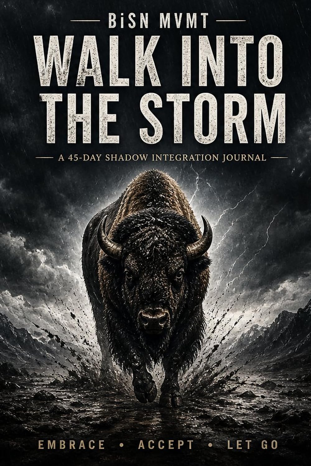 Walk Into the Storm: A 45-Day Shadow Integration Journal: A 45-Day Discipline and Self-Reflection Practice for Lasting Change