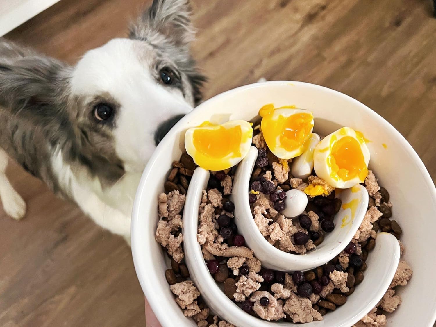 Tazones de alimentación lenta para perros, cuenco de alimentación lenta para perros con soporte de madera para razas medianas y grandes, cuenco elevado de cerámica para perros para ralentizar la