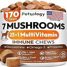 Turkey Tail Mushroom for Dogs - 170 Chews - Lion’s Mane - Shiitake - Reishi - Buddy Immune Support Guard - Mushroom Supplement for Dogs Lumps and Bumps Glucosamine, Health Vitamins Multivitamin