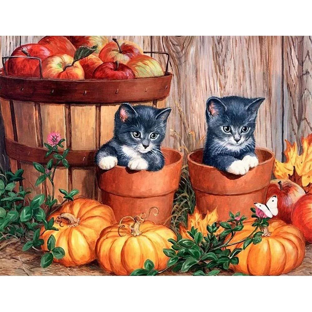 Peinture Diamant Chat Citrouille : Kit Complet Strass Point de Croix Square Drill 70x90cm