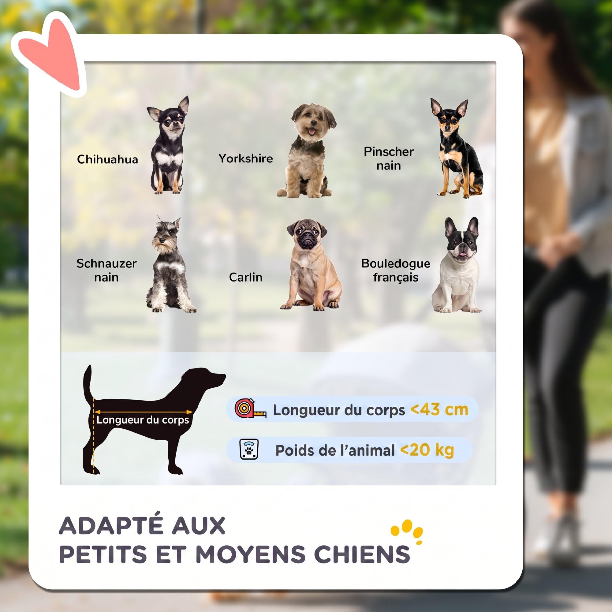 PawHut Poussette pour Chien Pliable Tout Terrain - Chariot pour Chien | 3 Grandes Roues en Caoutchouc,Poussette Chat,Roue Avant Verrouillable pour Jogging,Auvent Réglable,Bandes Réfléchissantes