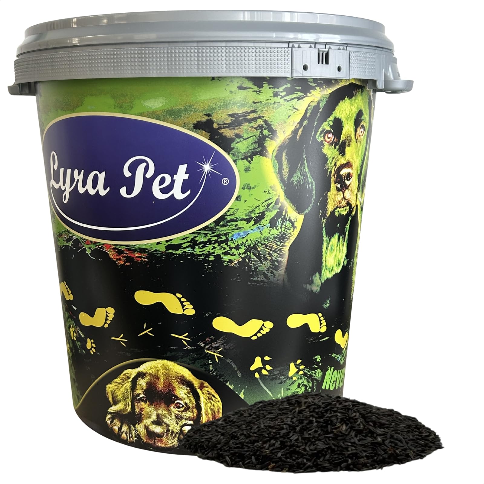 Lyra Pet® 10 kg Nigersaat + 30 L Tonne Nährstoffreiche Ergänzung Wildvögel | Reich an natürlichen Ölen, Proteinen & Ballaststoffen – Energiereiche Futterkomponente für die ganzjährige Vogelfütterung