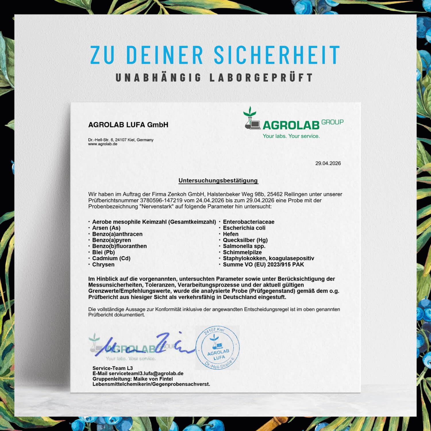 Vitamin B Komplex (B1-B12) mit 3 Kofaktoren aktiv - Alle 8- B Vitamine - B Vitamin Komplex hochdosiert mit Cofaktoren - Nervenstark *