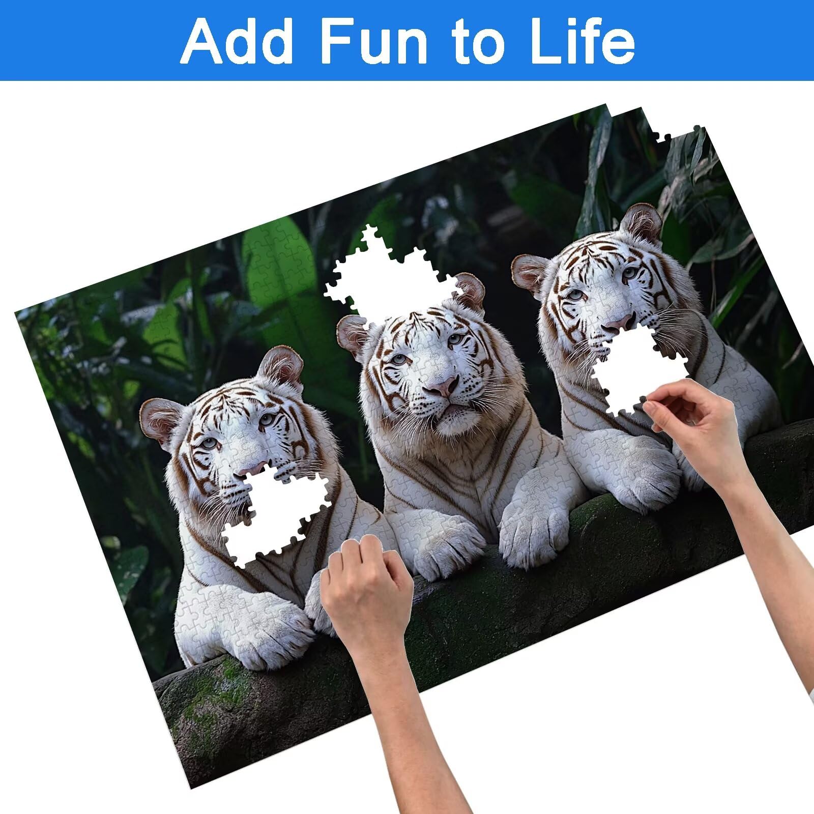 Puzzle 1000 Pezzi Tigre, Puzzle Animale 1000 Pezzi Arte per Adulti e Bambini, Misura: 75x50 cm, Puzzles Legno per Adulti con Squisita Scatola di Imballaggio, Idea Regalo Donna, Regalo Uomo, -9077
