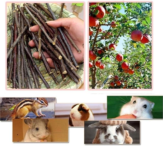 Foto 3 de 6 de William Craft Palitos de Manzana Natural para Animales Pequeños