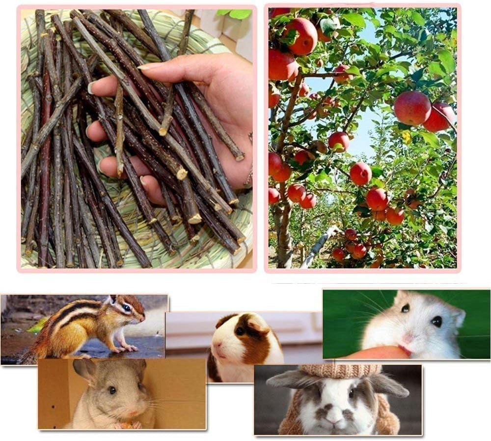 CAMITER 15Pcs Hamster Kauwspeelgoed Konijn Accessoires Natuurlijke Appelhout Sticks Gras Tanden Zorg Molaire Speelgoed Voor Gerbil Rat Cavia Chinchilla Gerbils Kauwen of Spelen