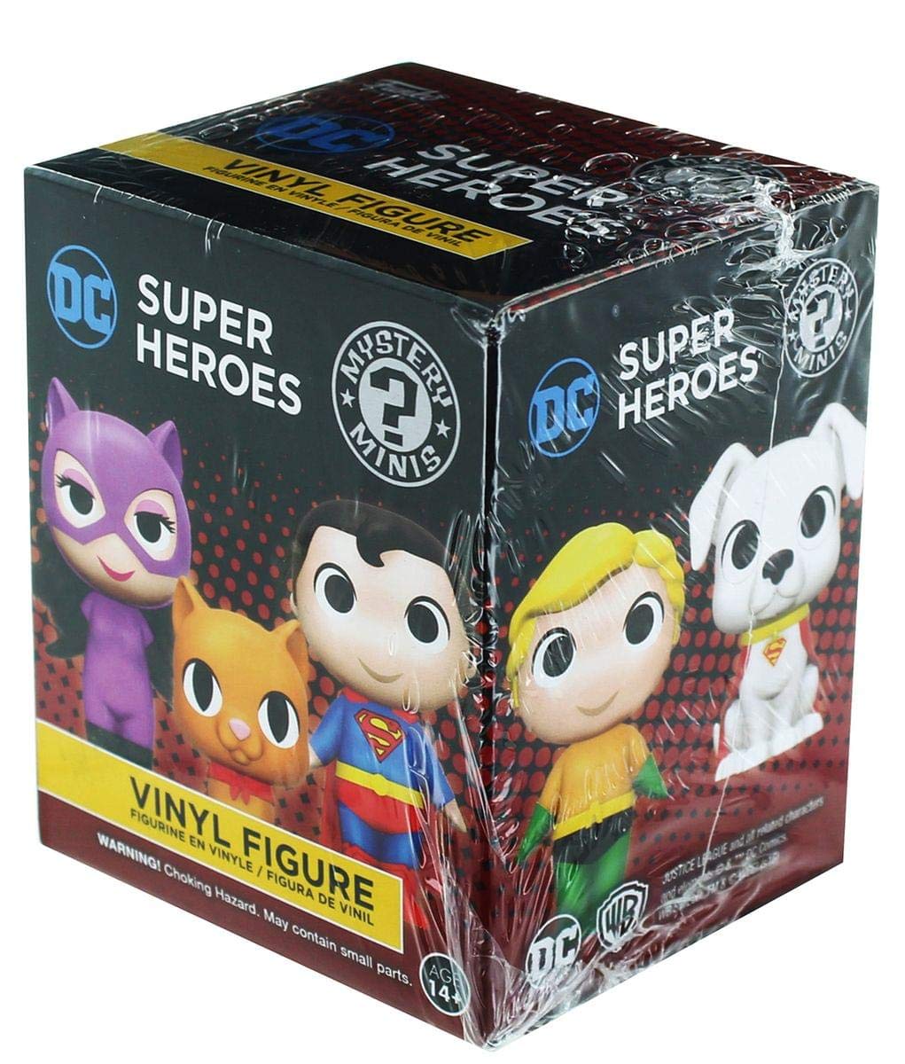 Funko DC Heroes & Pets One Mystery Man Mini Figure