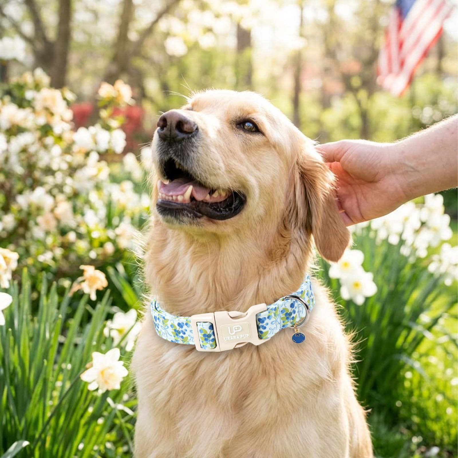 Blueberry Hundehalsband und Fliege, niedliches, verstellbares Welpenhalsband mit Schnellverschluss-Schnalle und schönem Blaubeer-Charm, für kleine, mittelgroße und große Hunde
