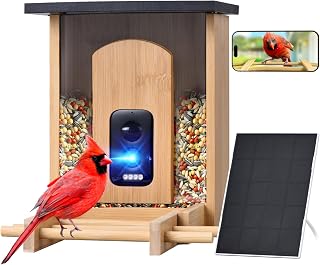 Smart Bird Feeder Camera, AI Bird Recognition, Solar 2K HD, 2.4GHz WiFi