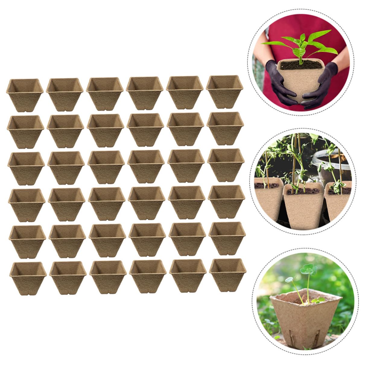 TOYANDONA 100pezzi Tazza Di Carta Per Coltivazione Vivaio Produzione Vivaistica Vaso Per Piante Degradabile Adatto Per Piantagione Di Succulente e Trapianto