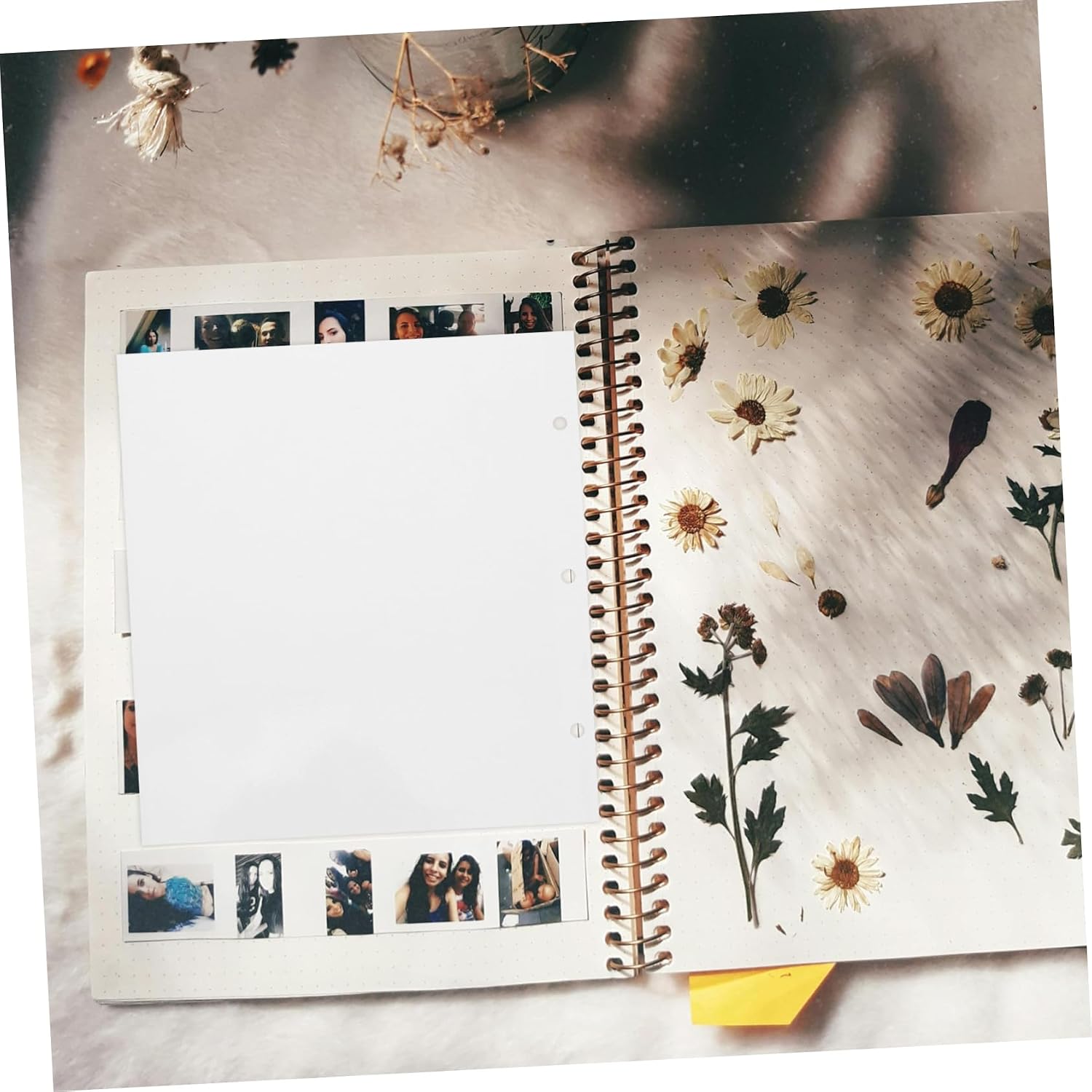 SOLUSTRE 10pcs Self Adhesive Photo Album Pages Binder Pages Scrapbook Supplies Reusable for Photos
