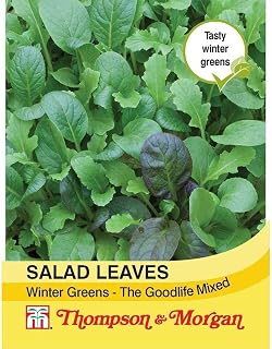 Thompson & Morgan - Vegetables - Salad Leaves - Winter Greens The Good Life Mixed - 125 Seed