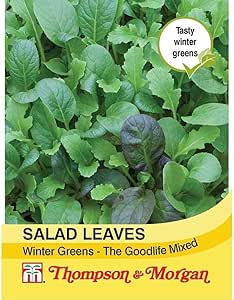 Thompson &amp; Morgan - Vegetables - Salad Leaves - Winter Greens The Good Life Mixed - 125 Seed