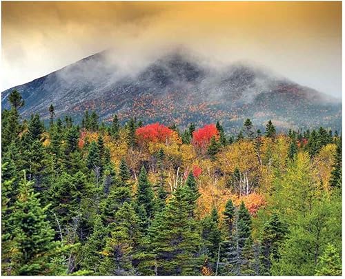 Miniatura 1 de JP Londres md4a04910.5-feet de ancho por 8.5-feet alta Otoño Bosque Mist de montaña extraíble Full Mural