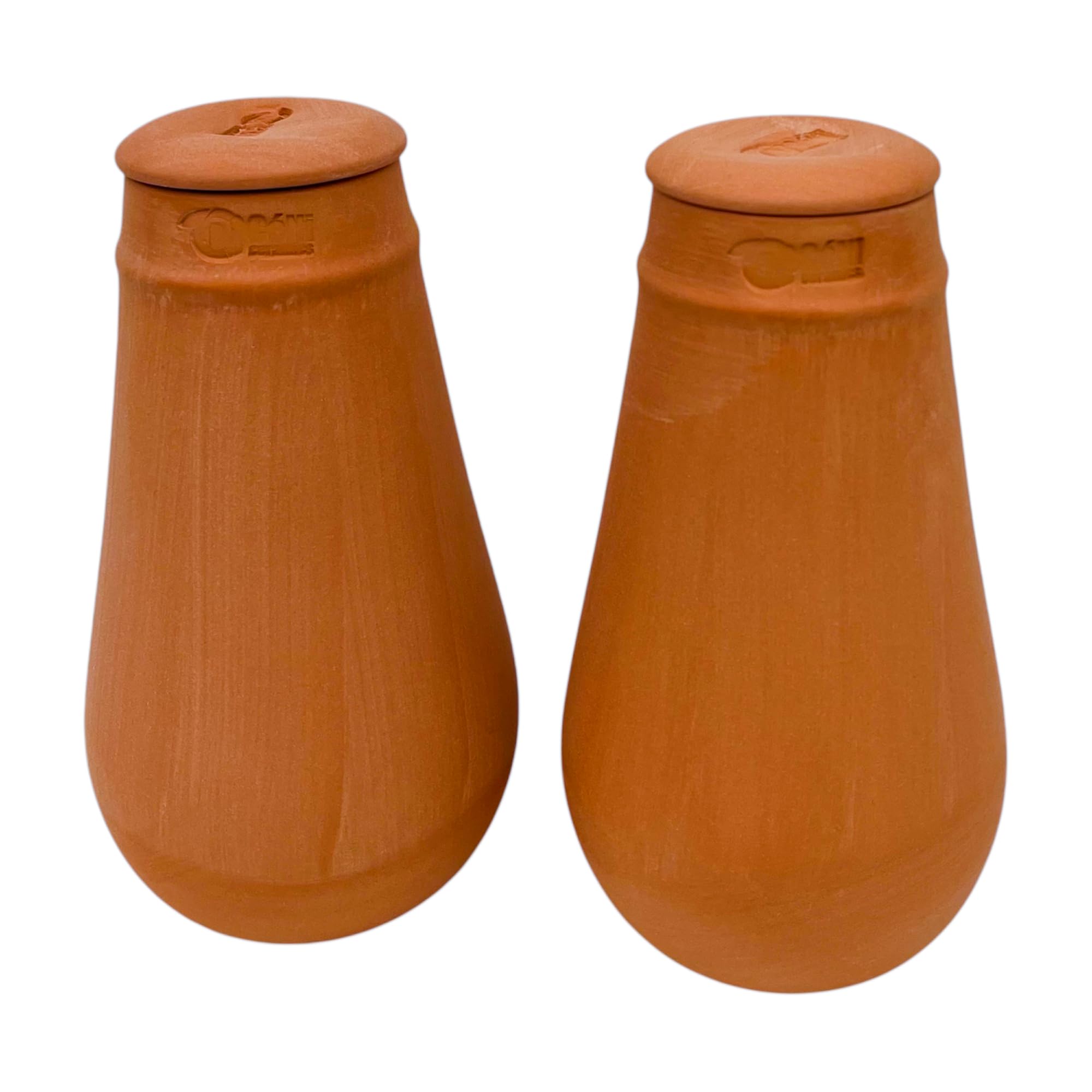 Lot de 2 Ollas 50cl - en Terre Cuite avec couvercles - Oyas x2 - Irrigation Naturelle pour Plantes d’Intérieur et d’Extérieur - Solution Durable pour Le Jardinage et l’Économie d’Eau