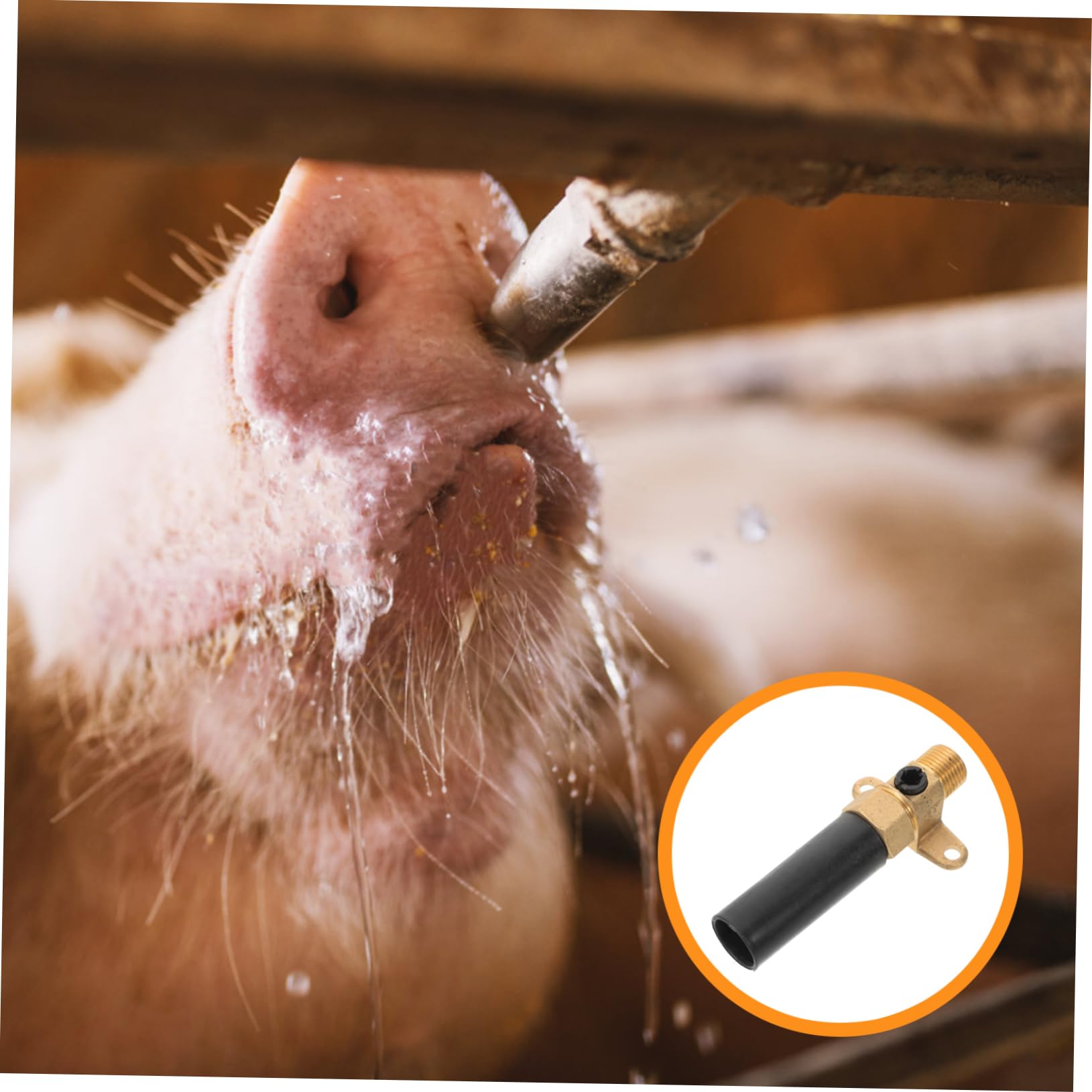 Bebedero, Cuenco De Agua Automático, Para Caballos, Ganado, Ovejas, Cerdos, Válvula Flotador, Abrevadero, Suministros (M