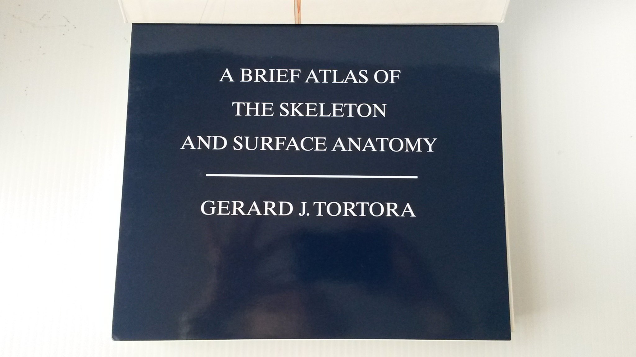 Principles of Anatomy and Physiology 14e with Atlas of the Skeleton Set - Image 4