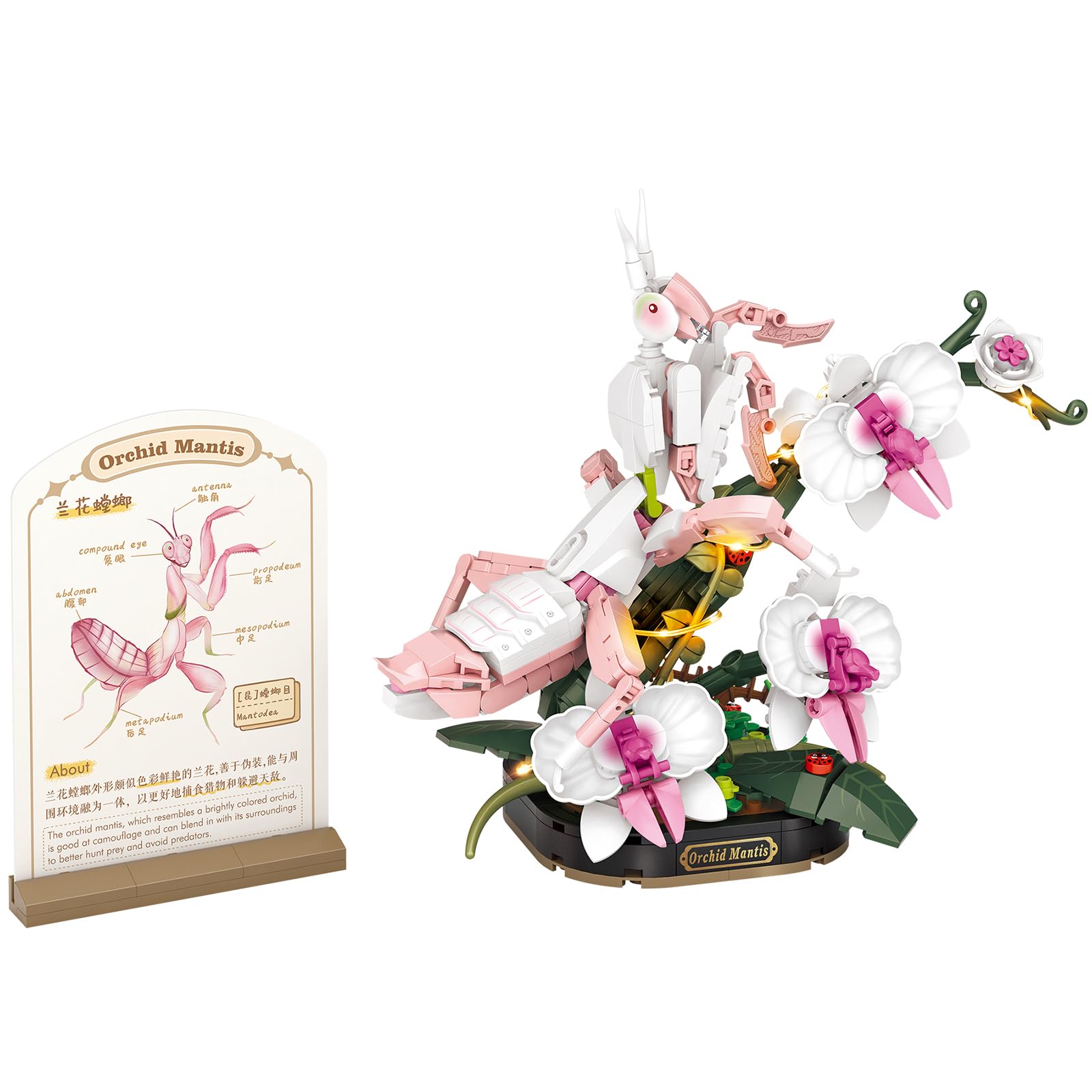 MEIEST Insect Flower Building Blocks Set,Colorful Construction Building Bricks Toy with a Science Popularization Card,Creative Home Decoration (Orchid Mantis)