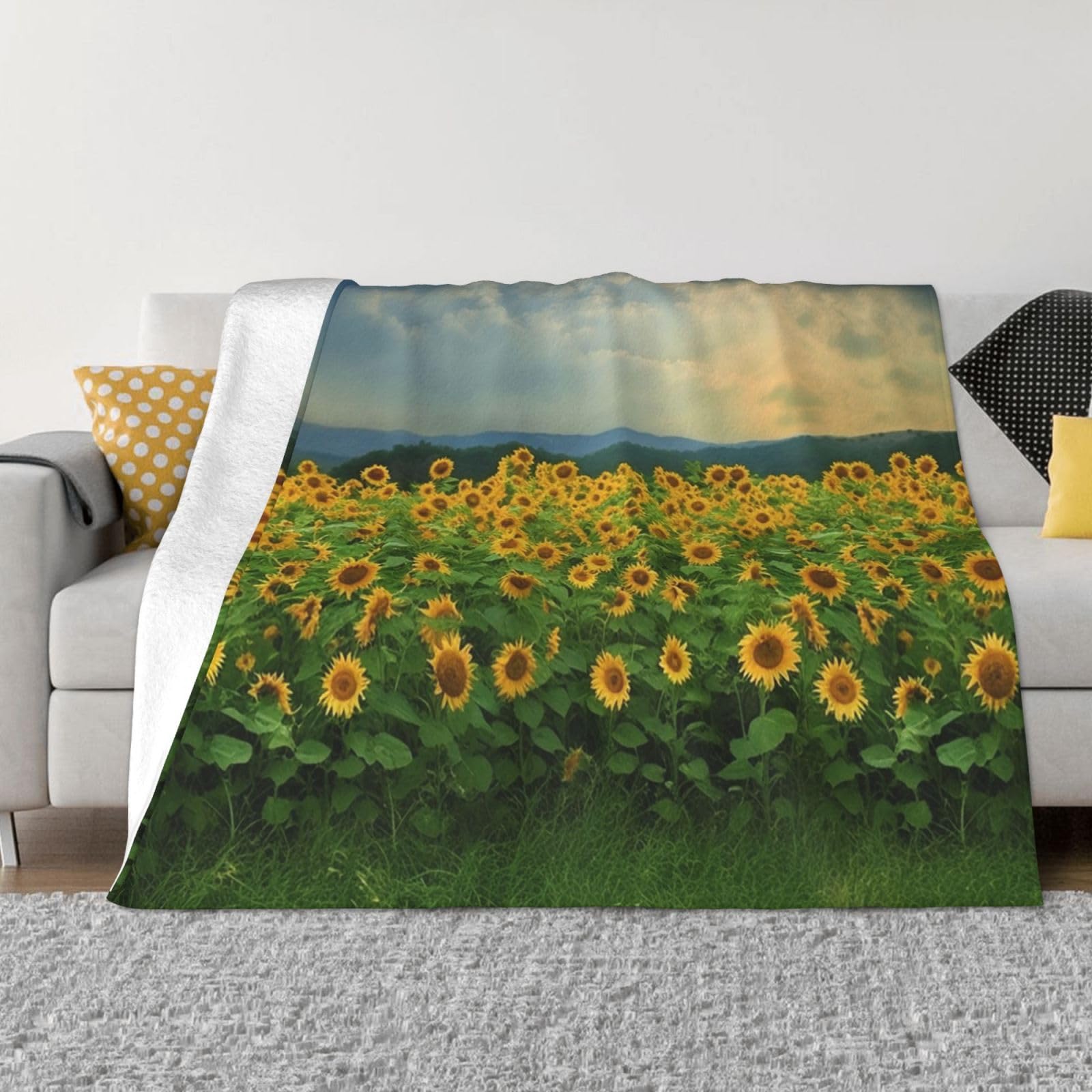 Couverture polaire ultra douce chaude et légère pour lit et canapé