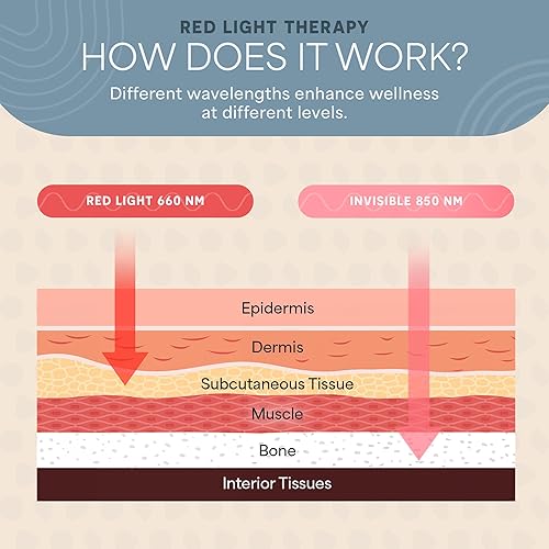 Miniatura 6 de Lifepro Terapia de luz roja para pies y tobillos, producto de alivio del dolor de pies para aliviar el dolor de talón, recuperación acelerada y