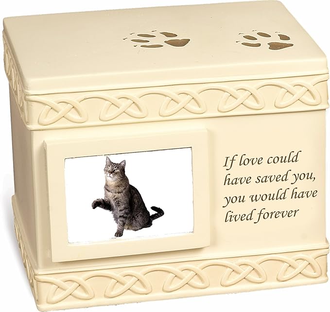 amazon prime pet urns