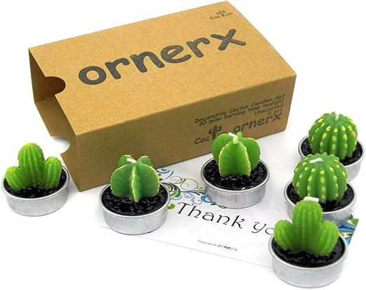 Amazon Com Ornerx Cute Cactus Tealights 6 Pcs Succulent Decorative Candles Home Kitchen