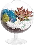 DIY Glass Plant Terrarium Kit for Adults, Metal Stand, Reindeer Moss, Crystals, Rocks, Tools & Figurine – Complete Starter Set