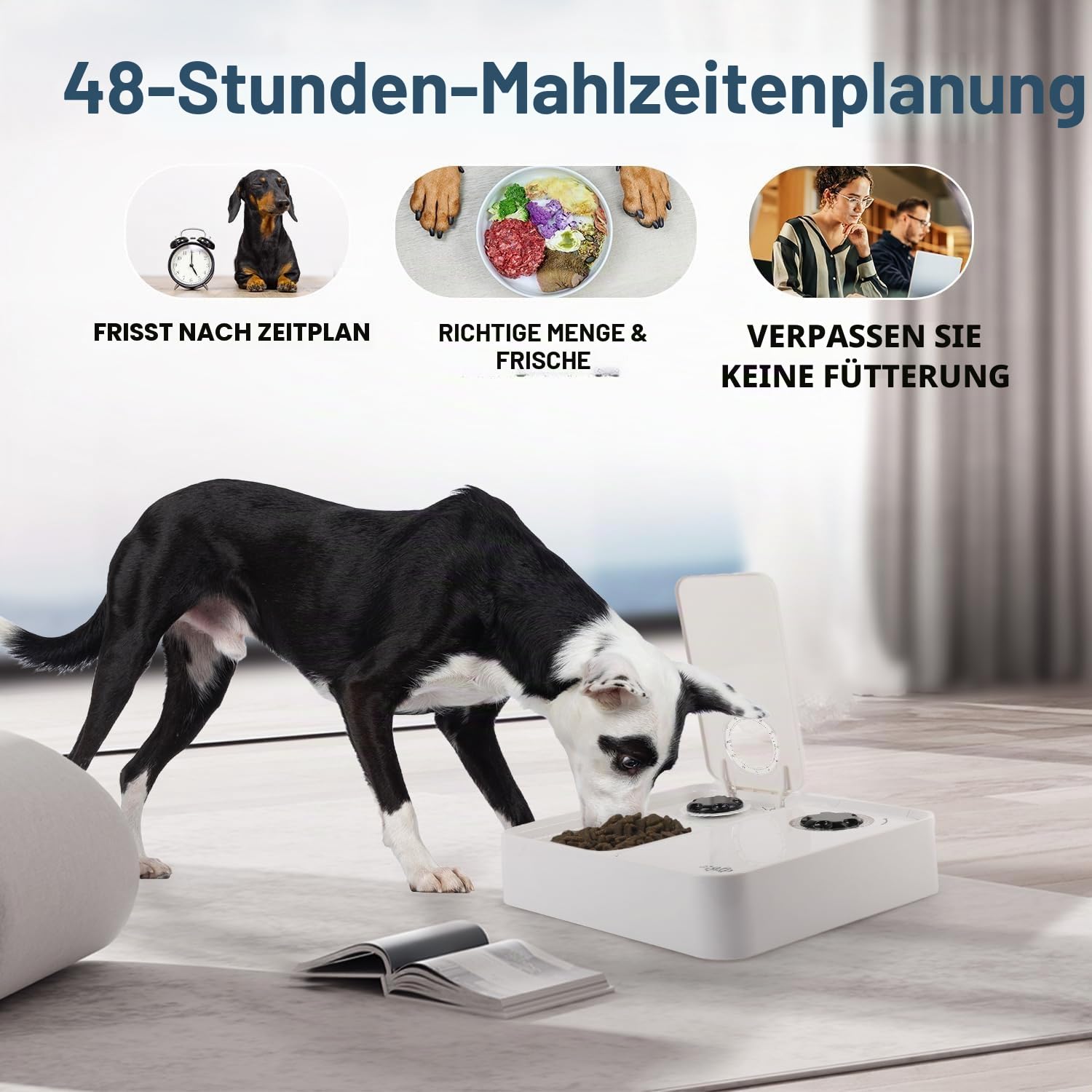 ALL FOR PAWS Automatischer Katzenfutterspender 2 Mahlzeit Hundefutterspender mit Eisbeutel, Für Trocken- und Nassfutter geeignet mit 48-Stunden-Timer, Spülmaschinenfest, (2-Mahlzeiten-Futterspender)