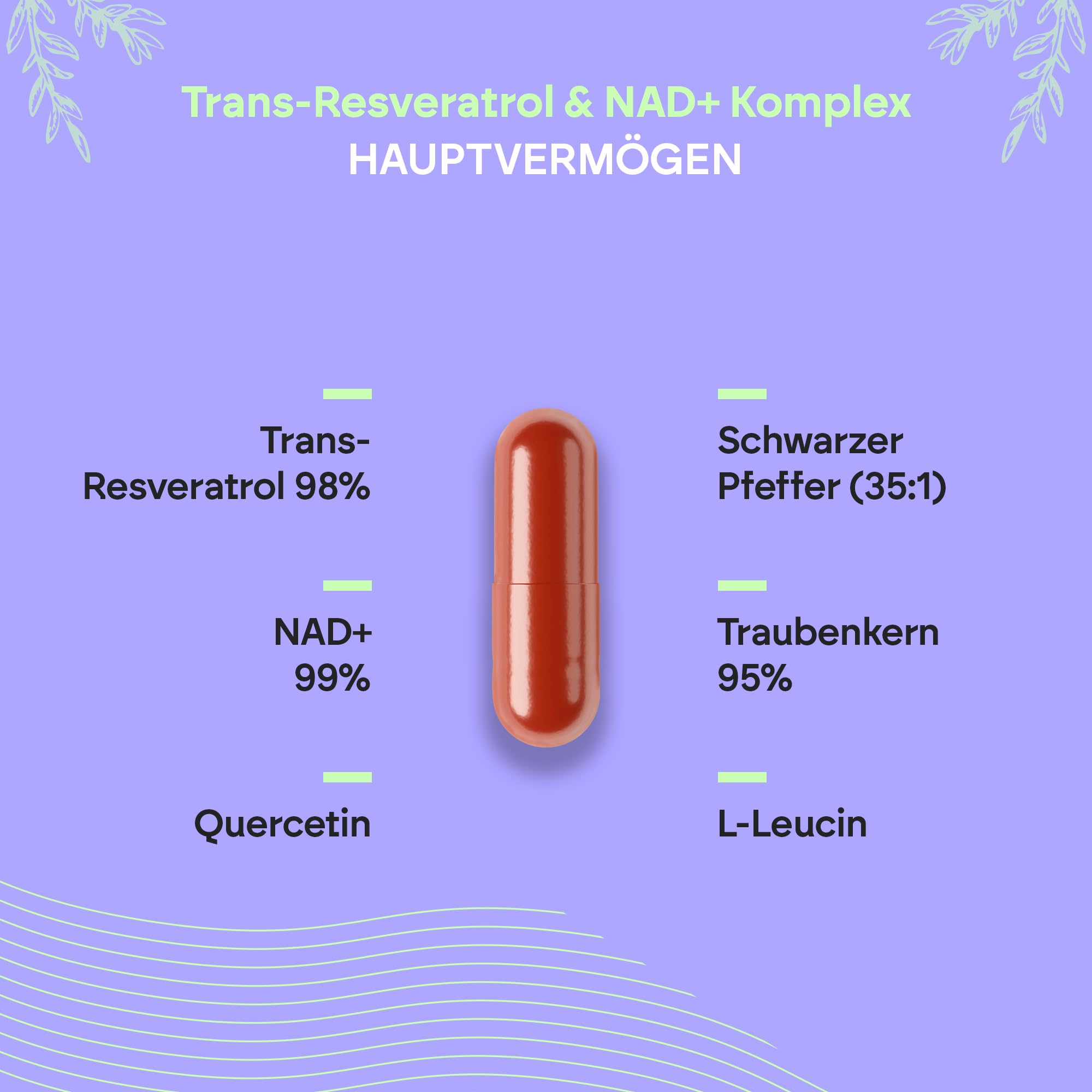 Trans Resveratrol NAD+ 686mg Komplex - Quercetin OPC Piperin und L-Leucin - 60 Kapseln Nutralie