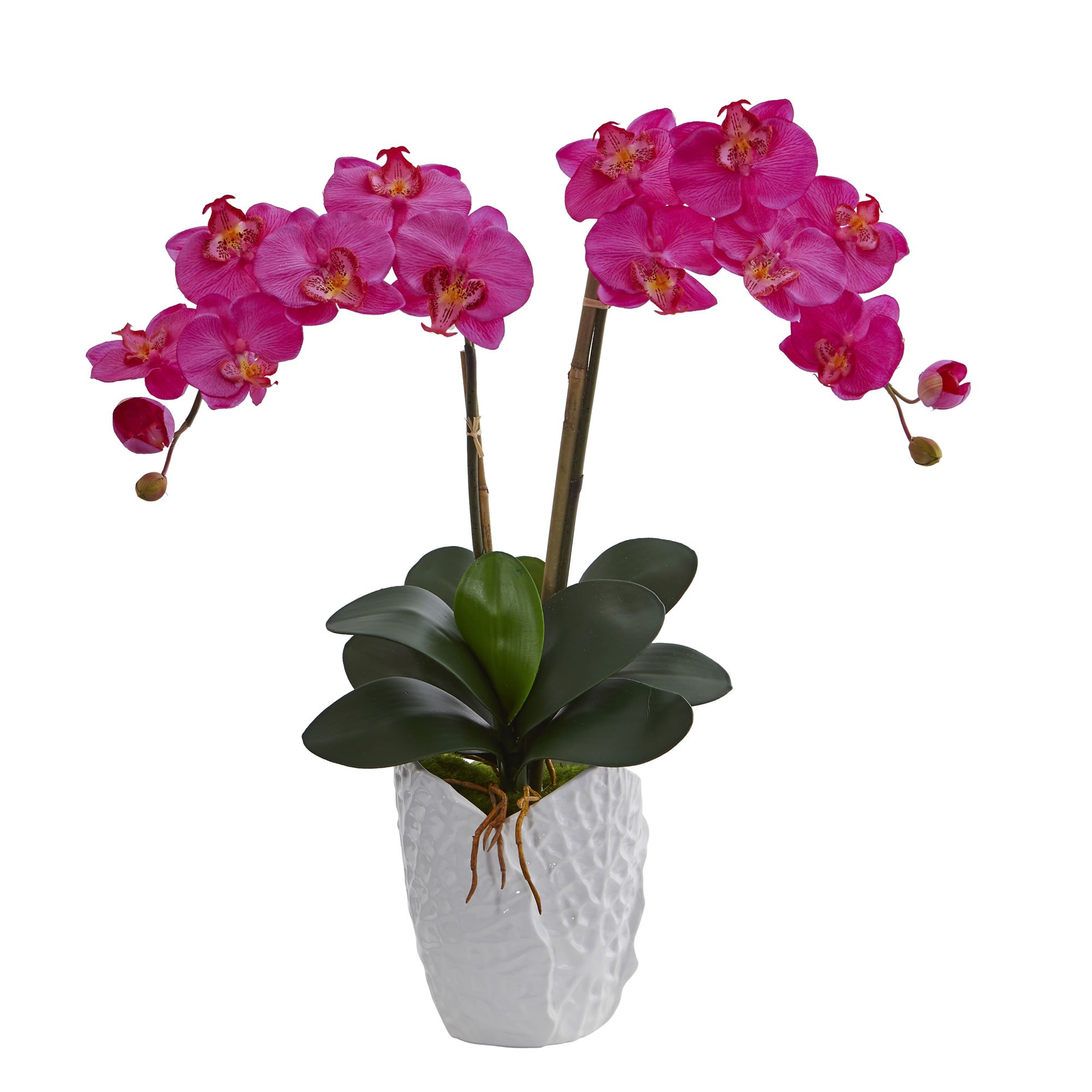 Nearly Natural Double Phalaenopsis Orchid Artificial Arrangement in White Ceramic Vase, Dark Pink