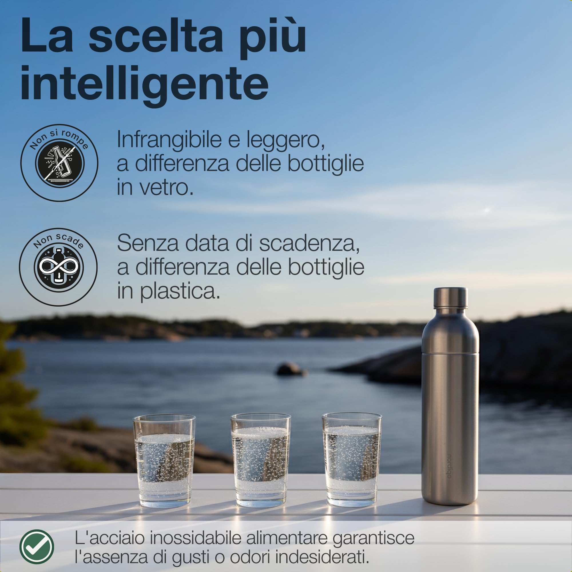 Bottiglia Inox 1L | Compatibile con Aarke Carbonator 3, SodaStream Duo & Bottiglie Plastica | Non per Crystal & Jet | Senza scadenza | Senza plastica