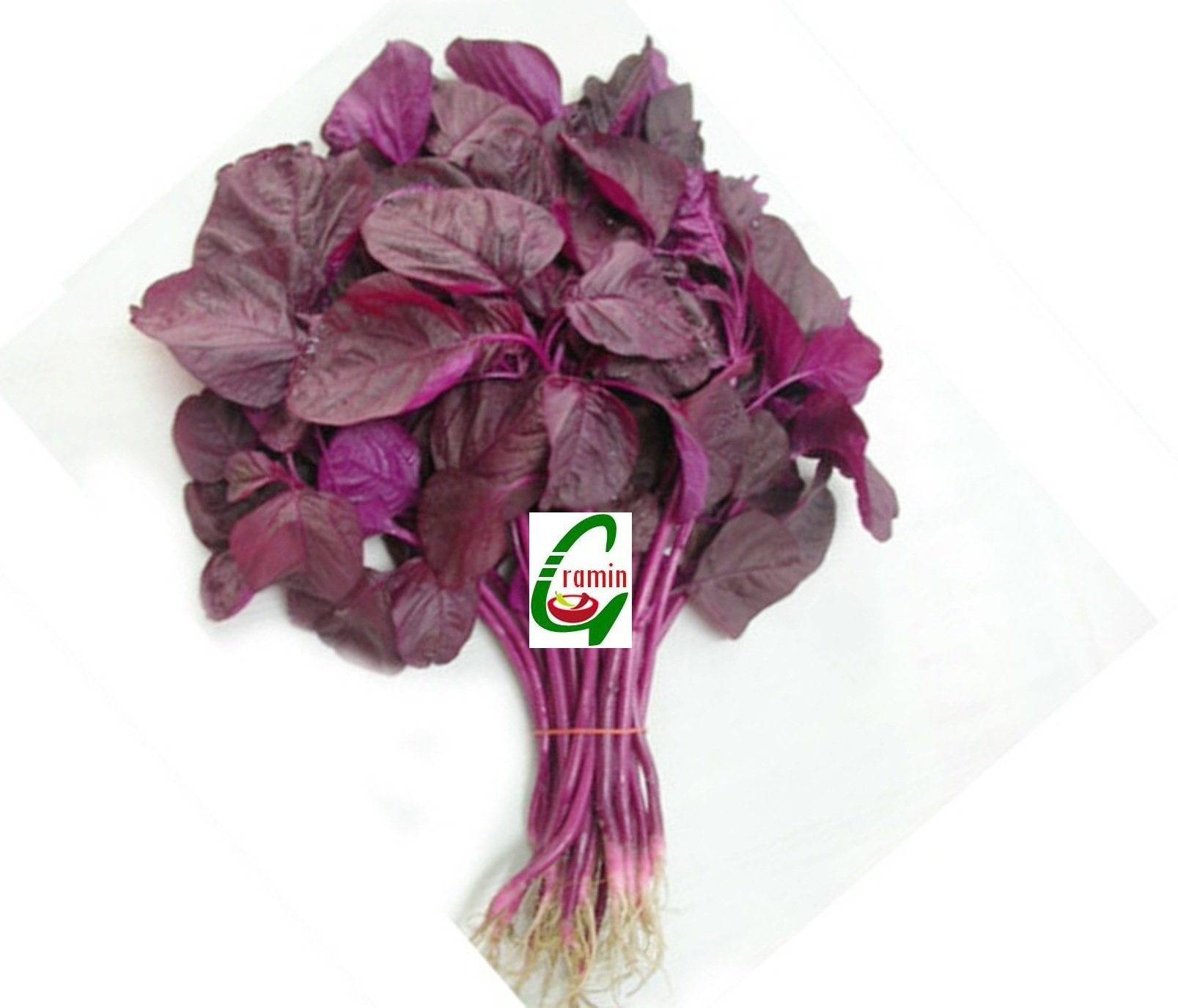 See full amazon price history chart for Creative Farmer Seedstores : High Yield Red Spinach Amaranthus Lal Saag Seeds 40 Gms for Year Through Growing Creative Farmer Seedstores : High Yield Red Spinach Amaranthus Lal Saag Seeds 40 Gms for Year Through Growing (B00OZU71HQ) Amazon Price History, Amazon Price Tracker
