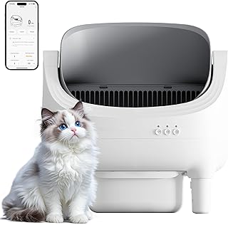JUMMICO Automatisches Katzenklo Elektrisch – Selbstreinigende Katzentoilette mit APP Steuerung, 12L XXL-Kapazität (15 Tage), Offenes Design & 8-facher Sicherheit für Alle Katzen (1,5-15kg), Gesundheit
