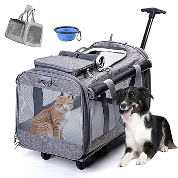 ベージュ クッション付きキャリーバッグ 中型犬用 楽天市場】今なら専用クッションをプレゼント！ ペットキャリー