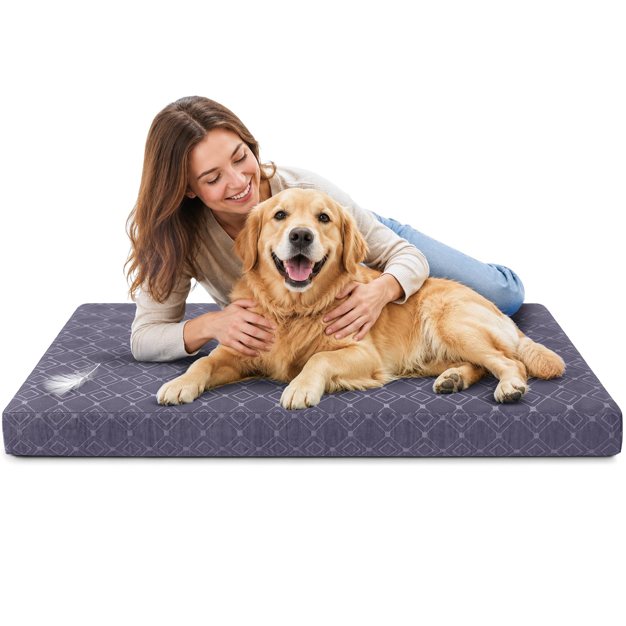 SAPPHIRE Dog Crate Mat, High Density Foam Dog Bed with Removable Zip Cover, Water Resistant Polyester Dog Cage Cushion, Kennel Mat for Small, Medium, Large & XL Dogs (Grey, Medium)