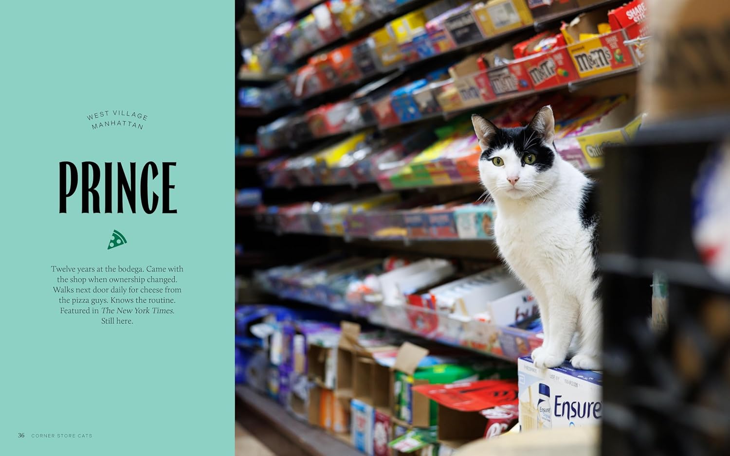 Bodega Cats of New York: Portraits and Stories from New York City's Working Cats