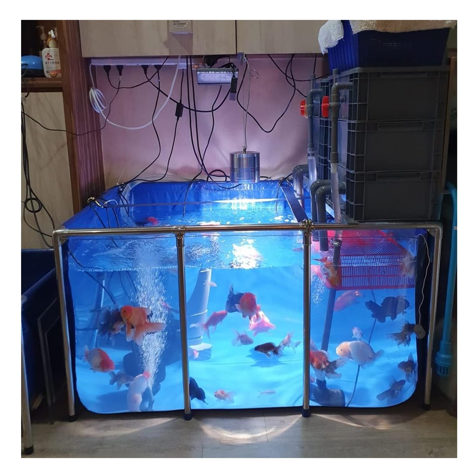 Genérico Acuario de cría de koi - Acuario Grande de Interior con Estructura de Acero y Ventana Transparente, Ideal para estanques de jardín - Lona Independiente de 50 x 40 x 30 cm