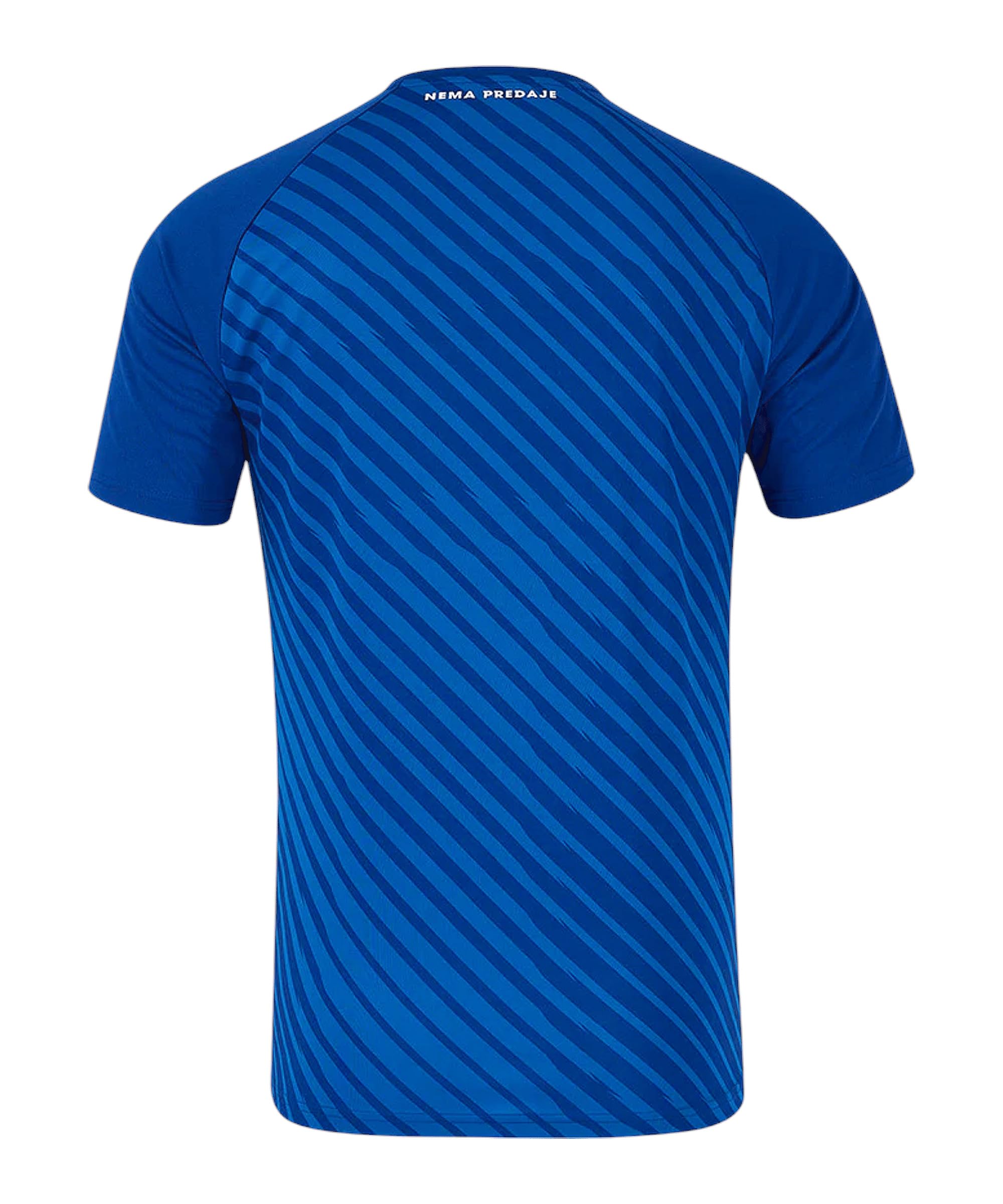Castore Dinamo Zagreb Trikot Home 2024/2025 Unisex