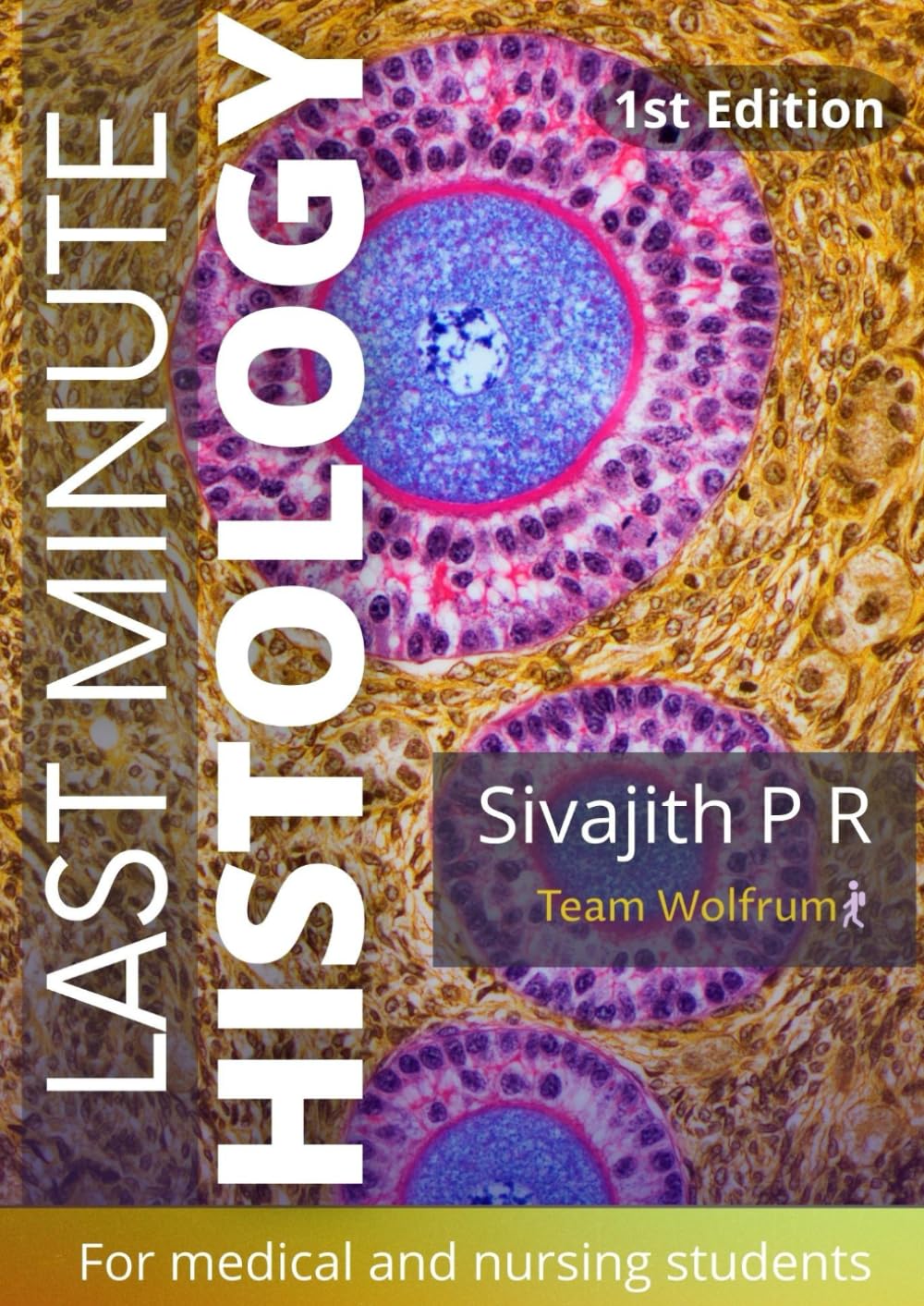 LAST MINUTE HISTOLOGY