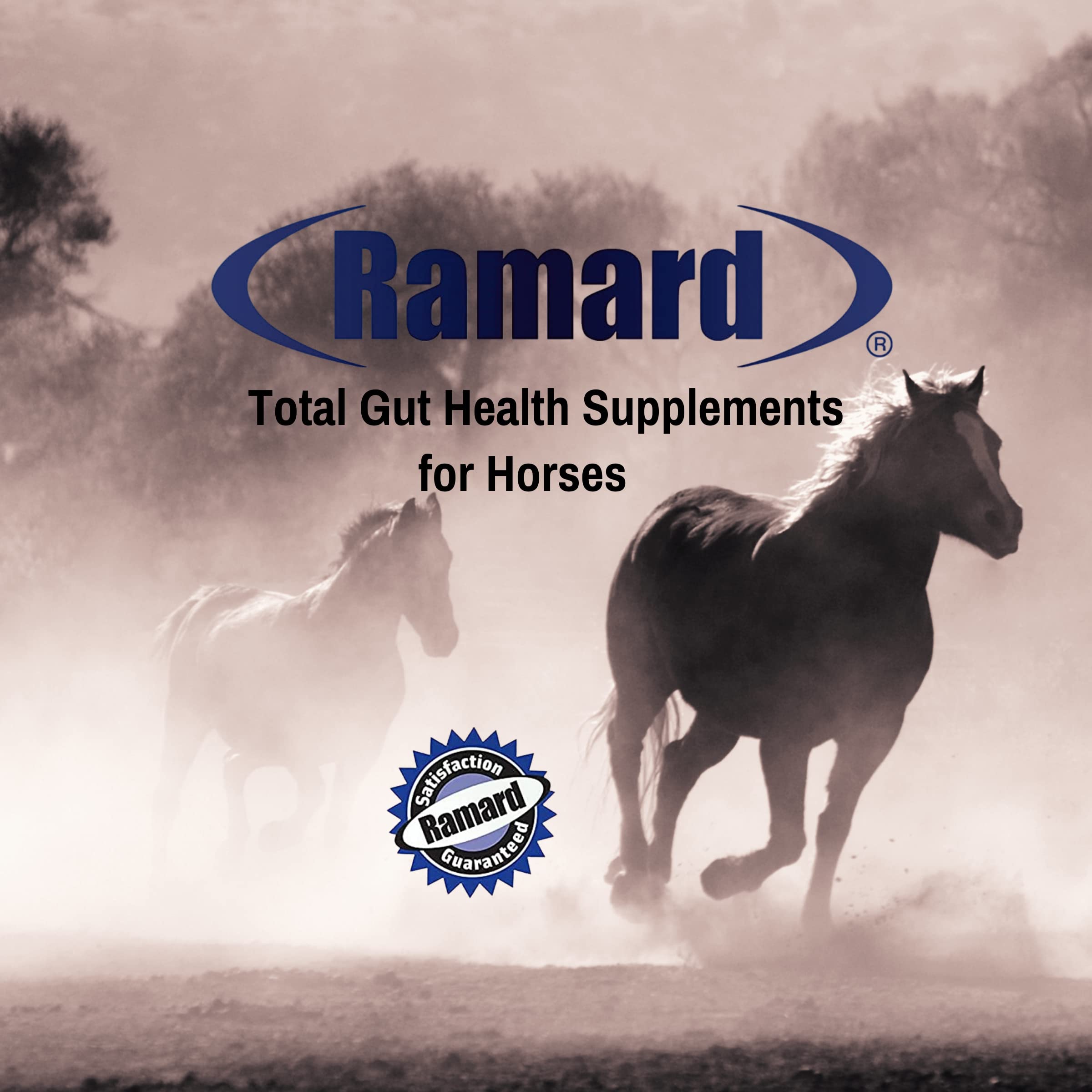Ramard Total Gut Health for Horse Digestive Aids Relief Support