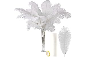 Vijiv White Ostrich Feathers: Adorn Your Space with Grace