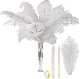VIJIV Natural White Large Ostrich Feathers Bulk 10 Pieces - Making Kit 2...