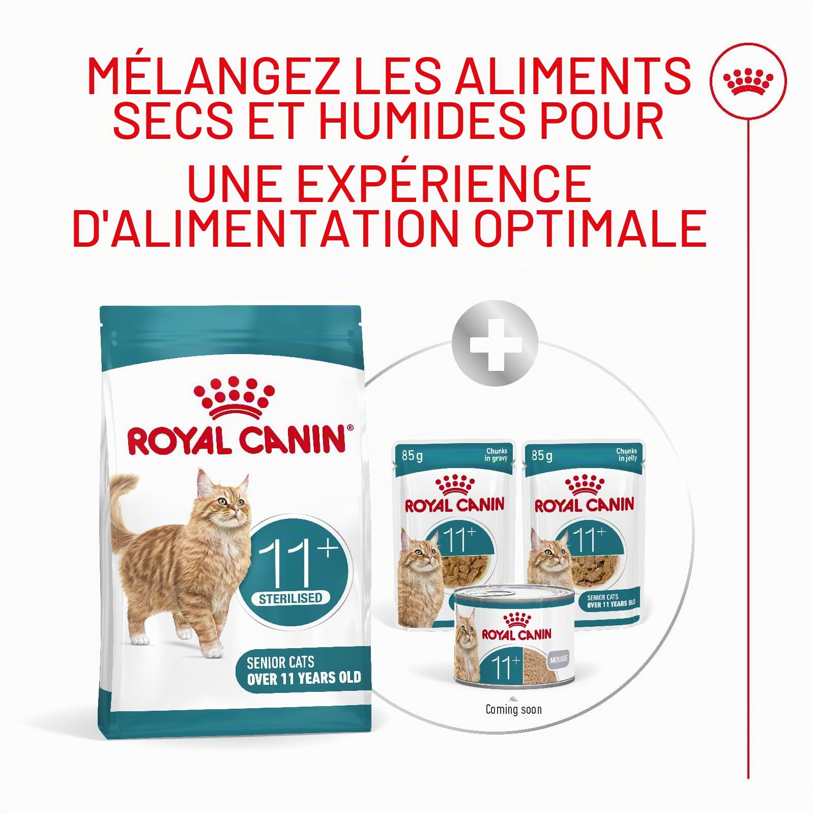 ROYAL CANIN AGEING 11+ | 2 kg | Croquettes pour Chats Seniors de Plus de 11 Ans | Formule avec Le Complexe HealthyAge7™ | Contient des croquettes faciles à mâcher