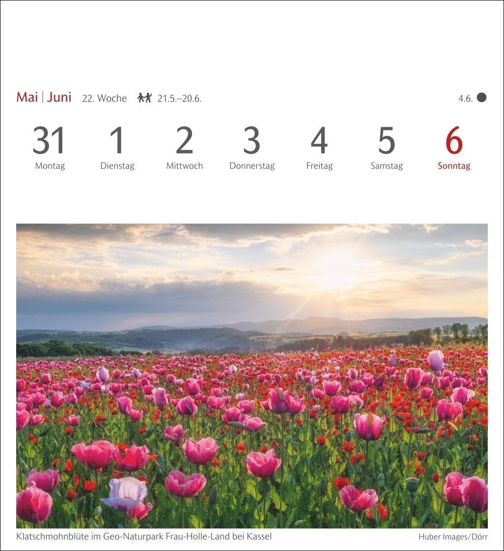 Lichtblicke Postkartenkalender 2027 - Wochenkalender mit 53 Postkarten: Kalender zum Aufstellen oder Aufhängen. Postkarten-Tischkalender 2027 mit stimmungsvollen Motiven und Naturaufnahmen
