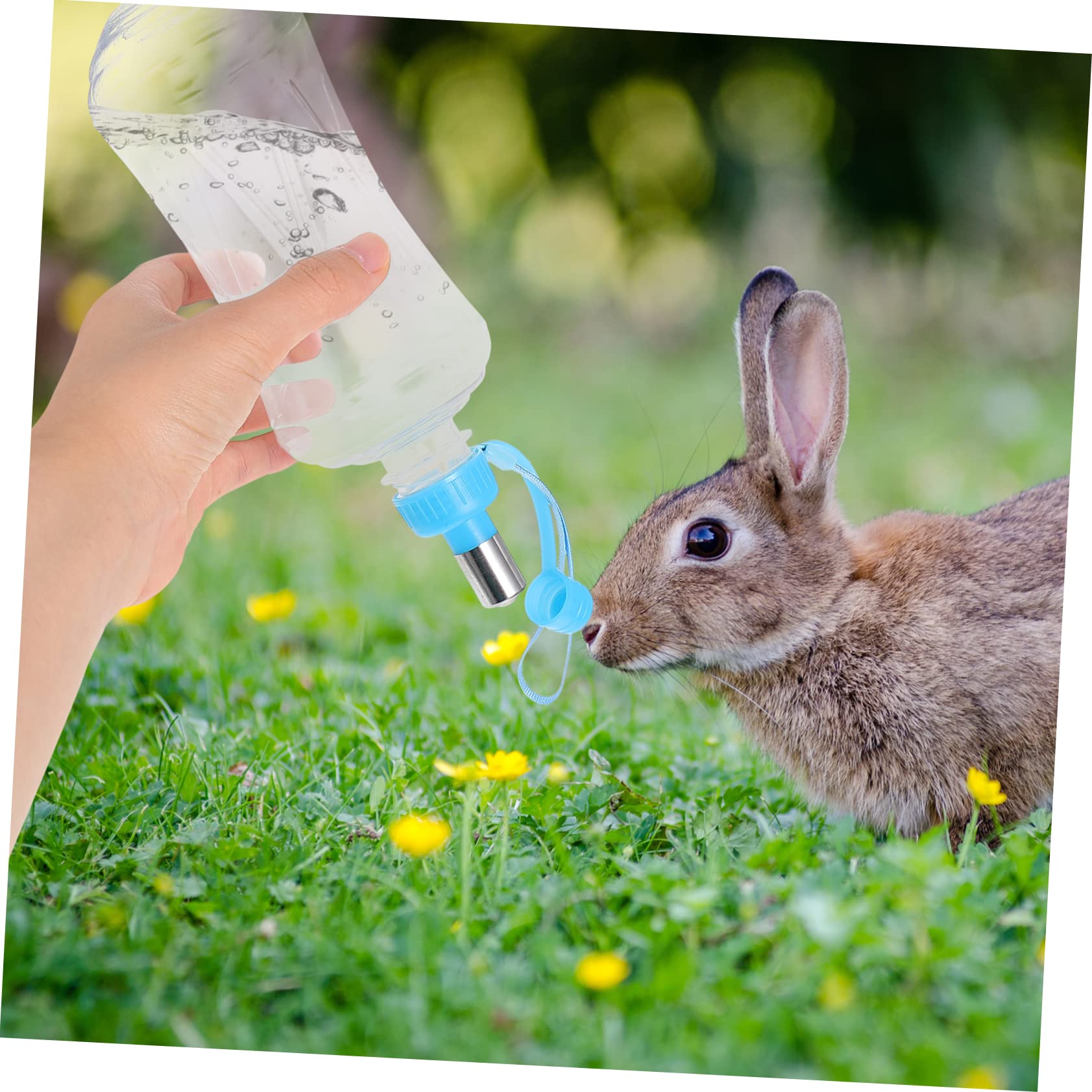 BESPORTBLE Pet Water Fountain Dog Water Bottle Portable Leak- Dog Kettle Cap for Outdoor Travel