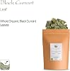 Black Currant Organic Leaf Tea - Great With Deserts - Ribes Nigrum - The Currant Bush Black Currant Leaves Tea Black Currant Leaf Of Black Currant Organic Blackcurrant Black Currant Tea