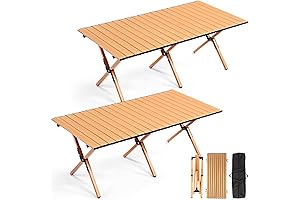 Foldable Picnic Table 4 ft Low to Ground with Carry Bag for Beach