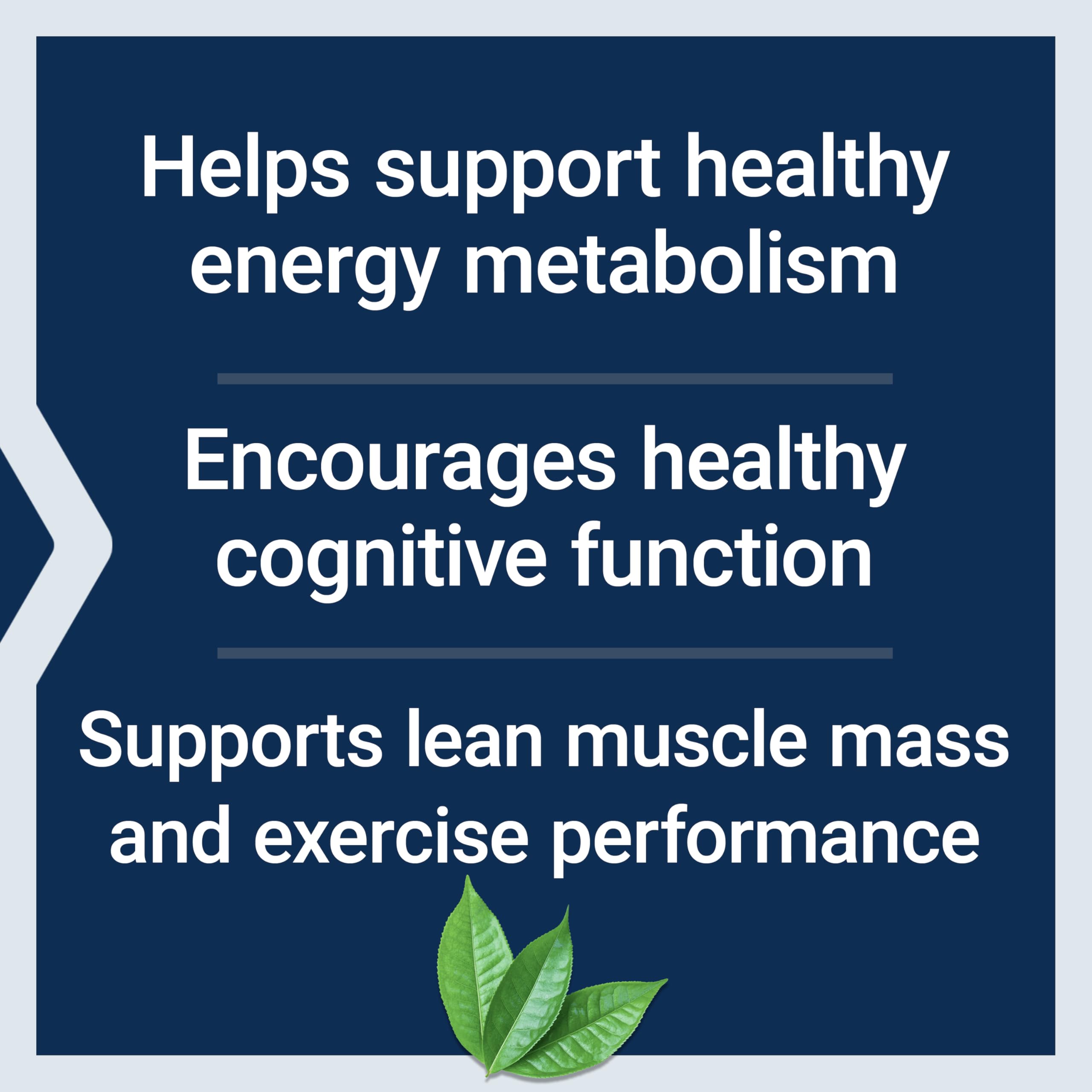 Amazon.com: Life Extension Creatine Acetyl-L-Carnitine Energy Plus, Energy Support Supplement, creatine monohydrate, Acetyl-L-carnitine, Gluten-Free, Non-GMO, Vegetarian, 30 Servings : Health & Household Amazon.com: Life Extension Creatine Acetyl-L-Carnitine Energy Plus, Energy Support Supplement, creatine monohydrate, Acetyl-L-carnitine, Gluten-Free, Non-GMO, Vegetarian, 30 Servings : Health & Household