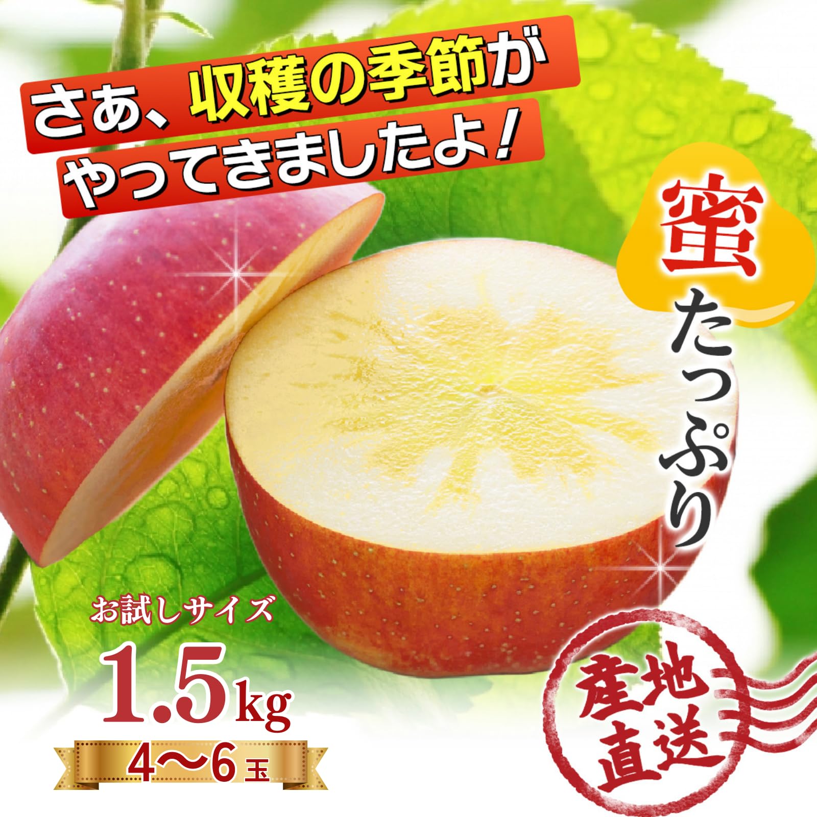Amazon.co.jp: 青森県産 りんご 宮美ふじ 蜜入りりんご [バランスの