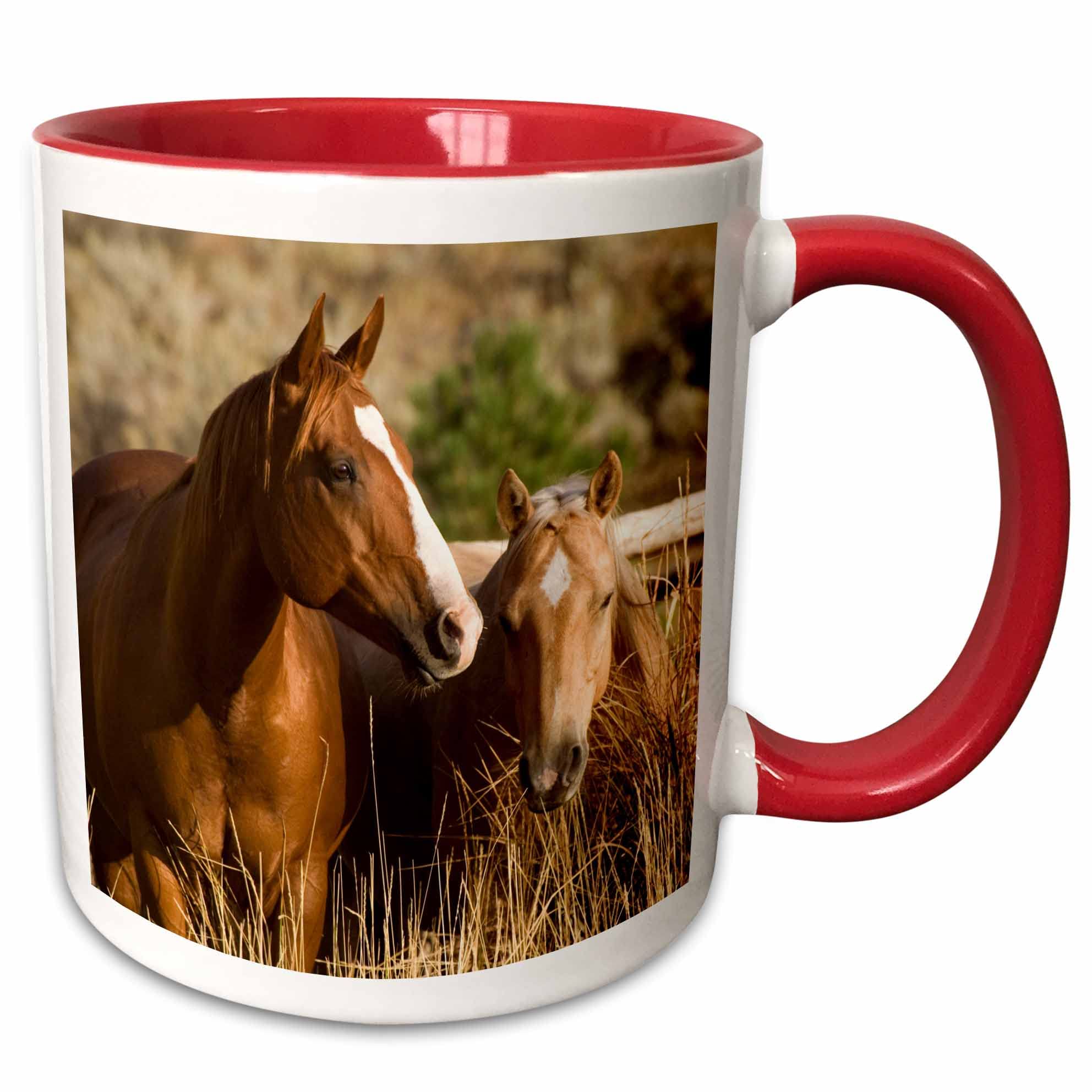3dRoseOregon, Seneca, Ponderosa Ranch, Horses-Us38 Bja0361-Jaynes Gallery Ceramic Mug, 11 oz, Red/White